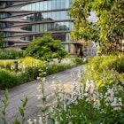 The High Line promenade in summer. Elevated greenway park in the heart of Chelsea, Manhattan. New York City, License Type: media, Download Time: 2024-09-01T17:00:57.000Z, User: pinkjozie64, Editorial: false, purchase_order: 56530, job: Global Publishing WIP, client: Experience New York 2, other: Jo-anne Riddell